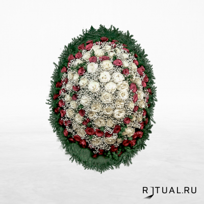 ВЕНОК «РОЗА» С ЖИВЫМИ ЦВЕТАМИ (1,6м) (роза, гипсофилл или аспарагус)